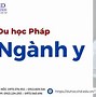 Du Học Ý Nên Chọn Ngành Gì Ở Mỹ 2022 Không