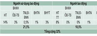 Người Lao Động Đóng Bao Nhiêu Tiền Bảo Hiểm Xã Hội