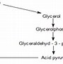 Tổng Hợp Glycogen