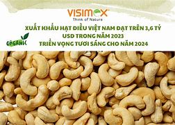 Việt Nam Xuất Khẩu Hạt Điều Thứ Mấy Thế Giới